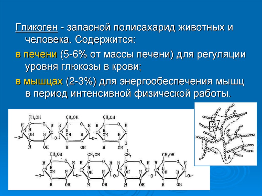 Полисахариды свойства и функции. Полисахариды формулы гликоген. Структура гликогена биохимия. Гликоген строение и роль. Полимер гликоген формула.