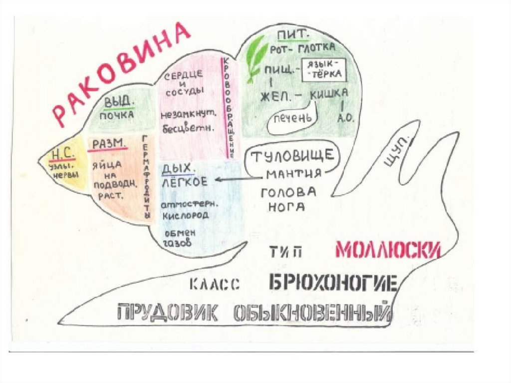 Как красиво оформить схему