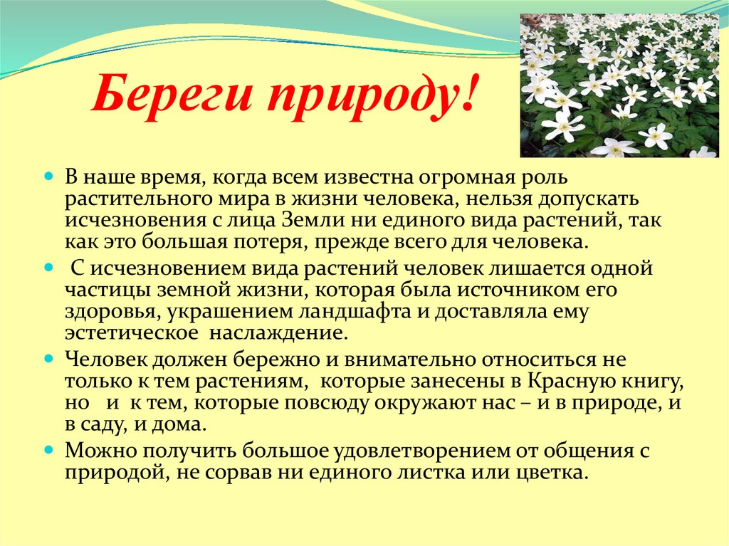 Виды растений текст. Берегите редкие растения. Листовка редких растений. Редкие растения тема урока. Листовка о защите редких растений и животных.