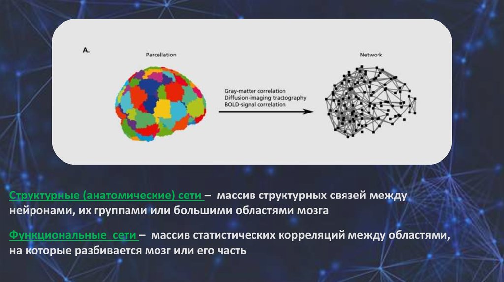 Сложная теория. Массива сети.