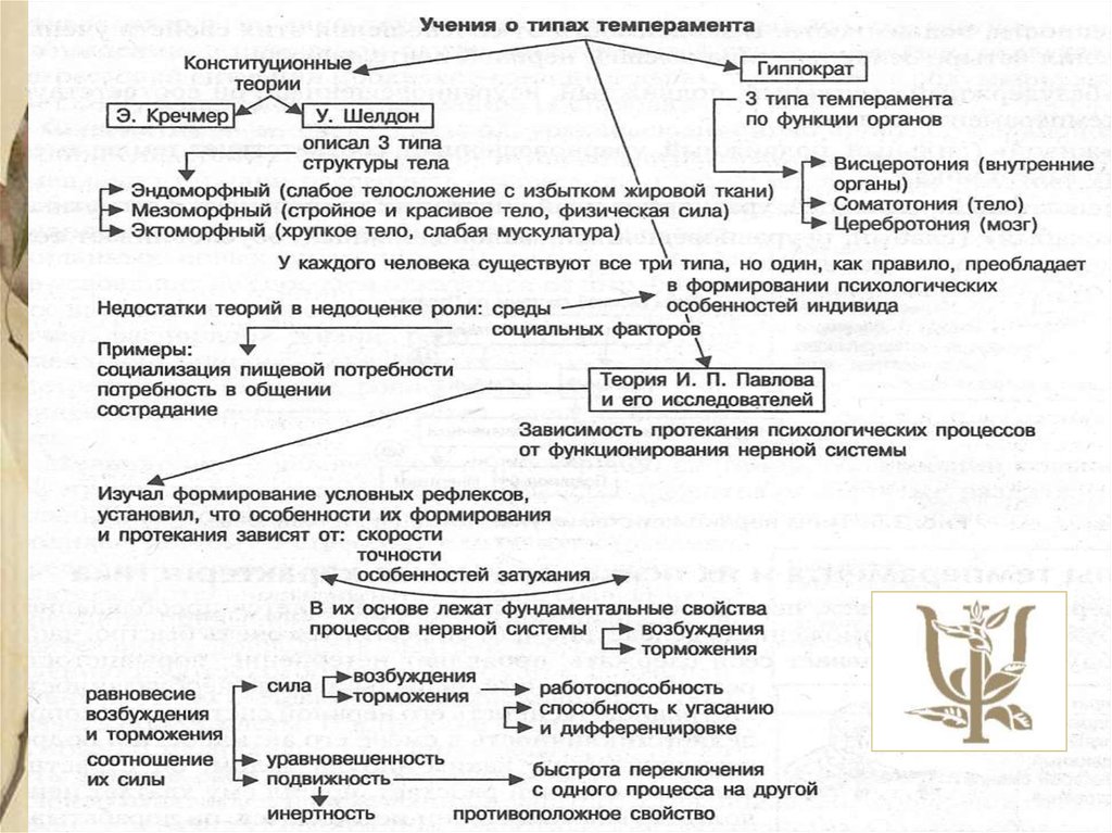 Учение о типах темперамента. Темперамент по теории Павлова. Павлов теория темперамента. Концепция Павлова о темпераменте. Конституциональная теория темперамента.