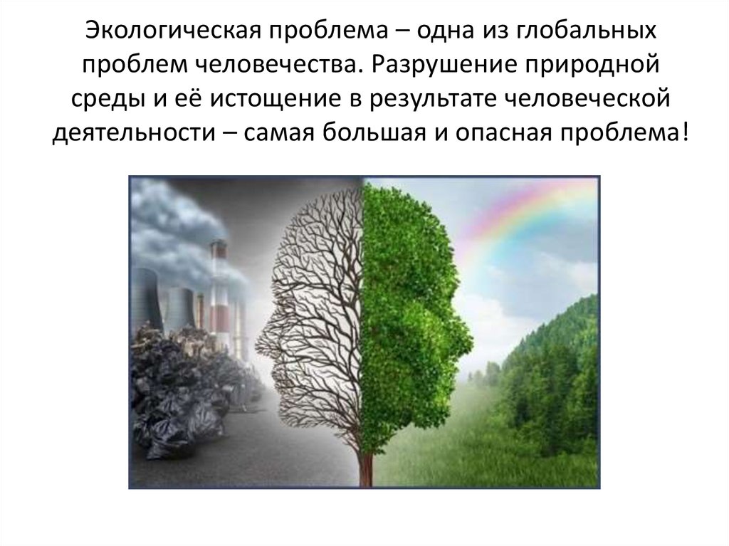 Презентация по экологии для студентов экологические проблемы