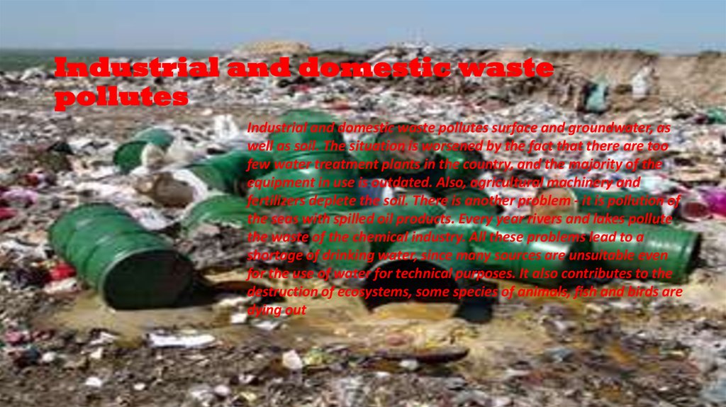 Industrial and domestic waste pollutes