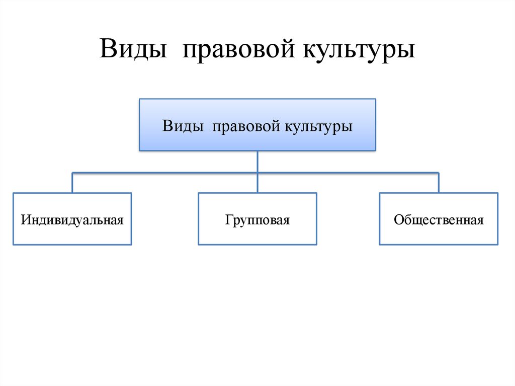 Схема виды культуры