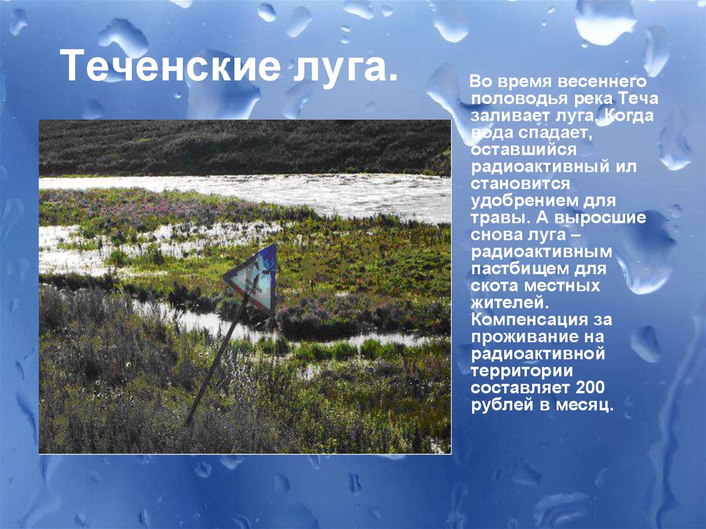 Луга залитые водой. Река Теча. Река Теча в Челябинской области. Радиоактивная река Теча. Река Теча Маяк.