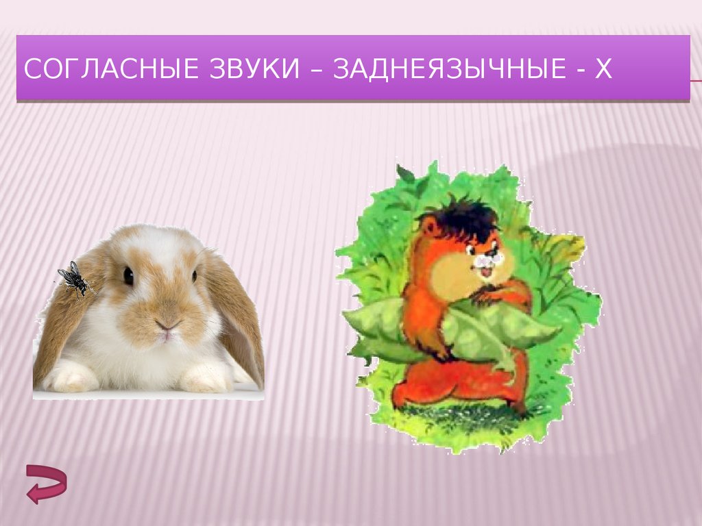 Заднеязычные звуки