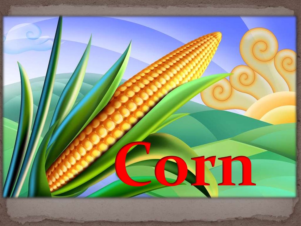 Corn