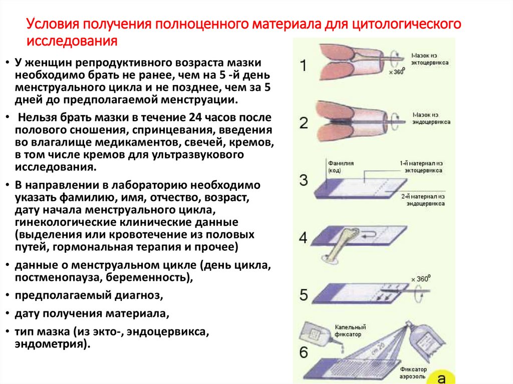 Цитологическим исследованием полученного материала