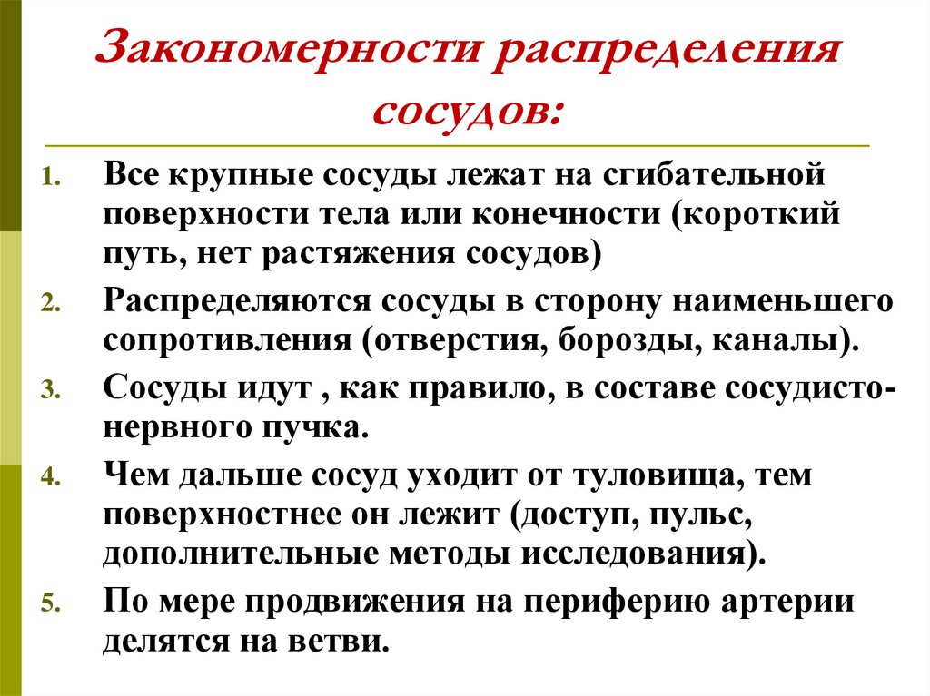 Ход сосудов. Закономерности хода и ветвления сосудов животных. Закономерности распределения артерий и вен в организме. Закономерности распределения кровеносных сосудов. Закономерности расположения сосудов.