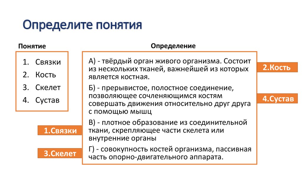 Определите понятие система