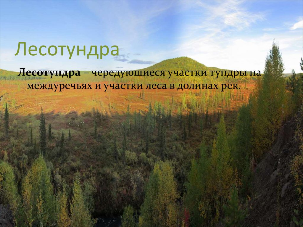 Природные зоны лесов и лесотундр. Климат лесотундры. Лесотундра Евразии. Природная зона тундры и лесотундры России. Климат лесотундры в России.