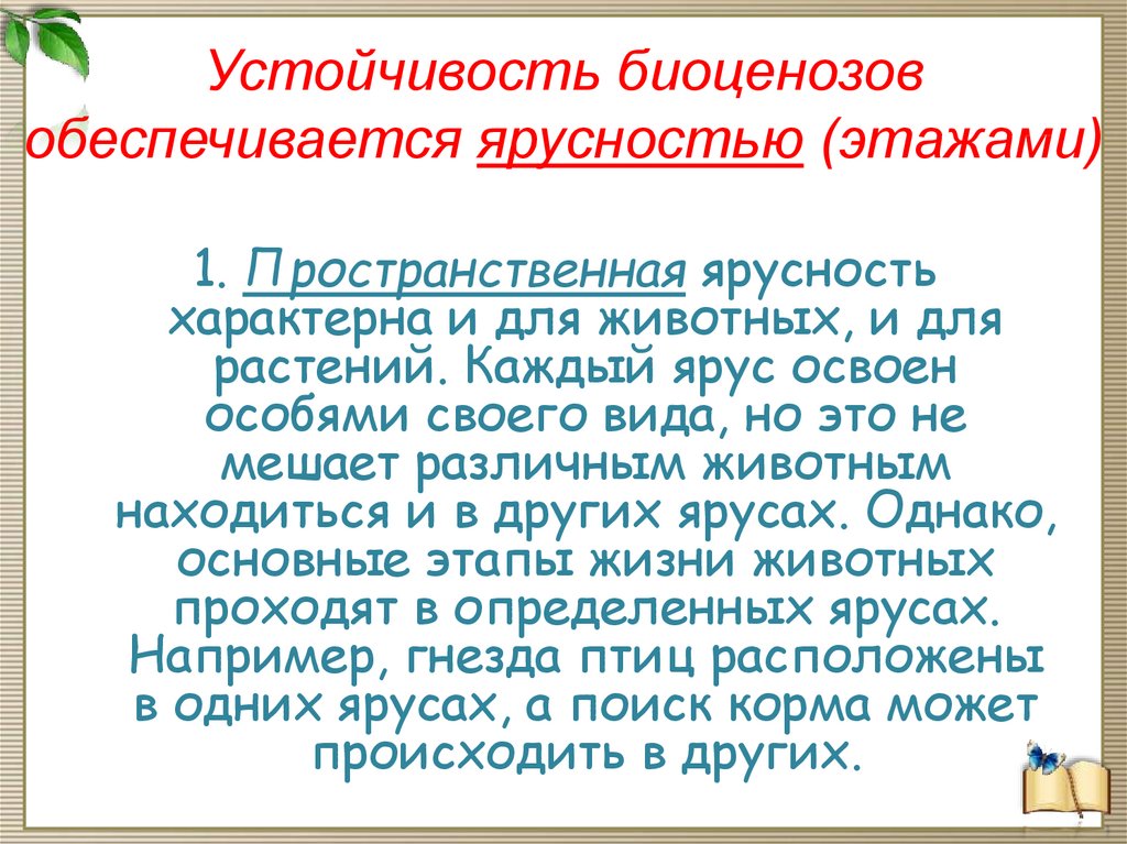 Устойчивость биоценозов обеспечивается ярусностью (этажами)
