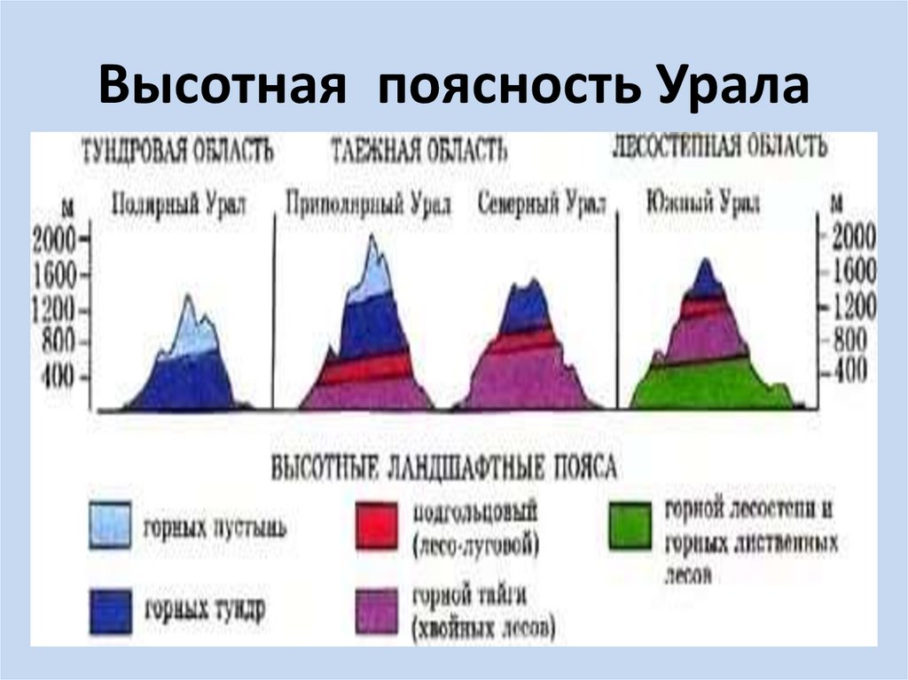 Высотная поясность Урала
