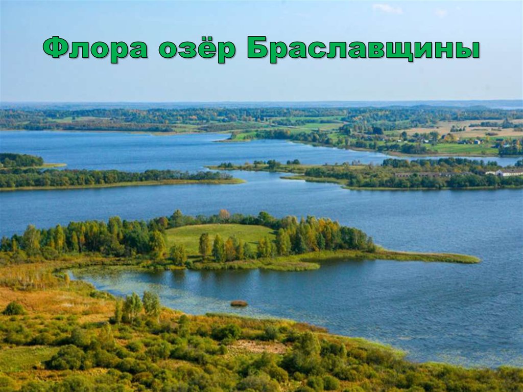 Флора озёр Браславщины