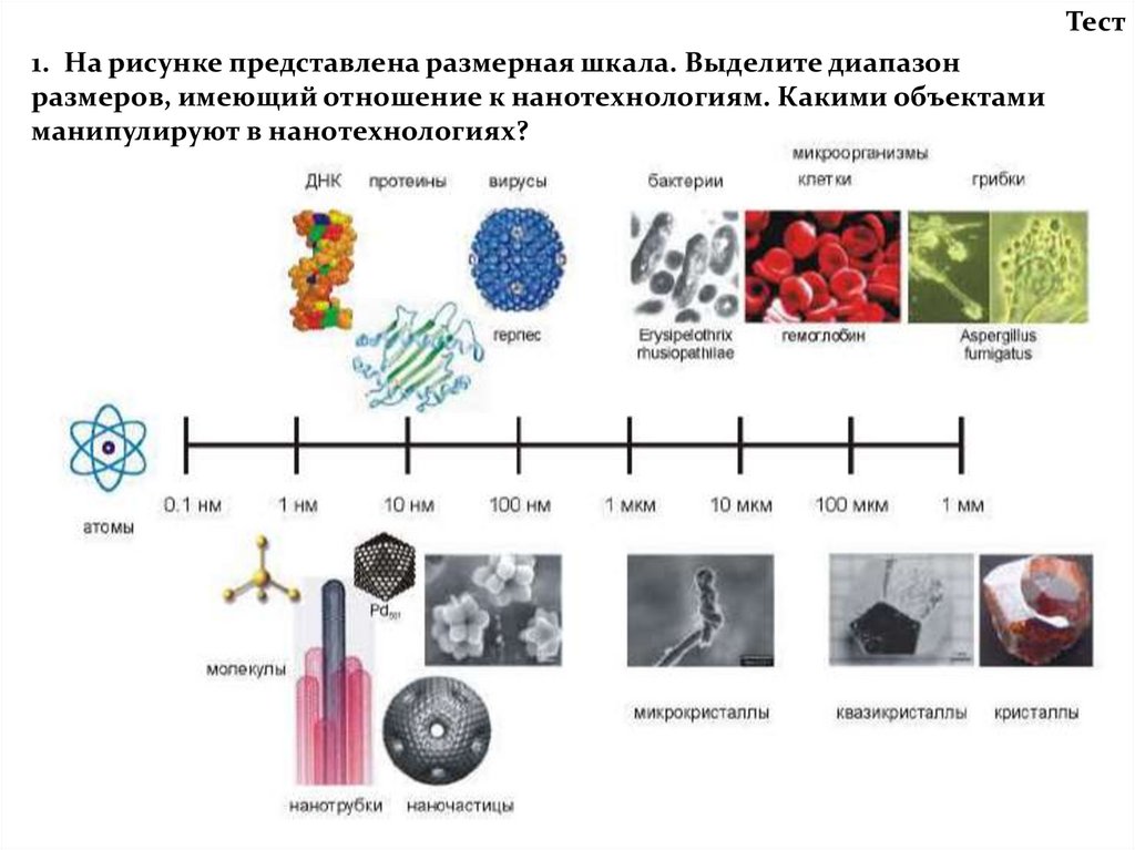 История нанотехнологий. Какие предметы это нанотехнологии. Нанотехнологии тест. История наномира презентация.