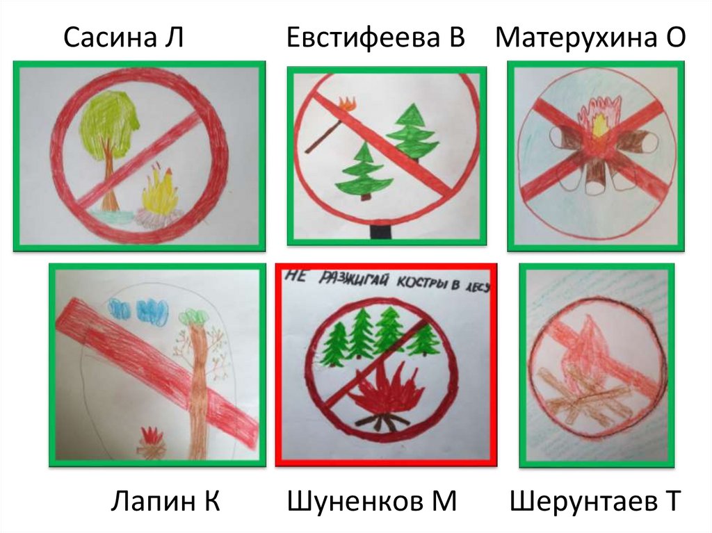 Сасина Л Евстифеева В Матерухина О