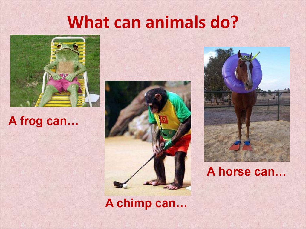 A horse can sing. What can animals do. What can animals do презентация 2 Grade. 2 Класс animals can. Animals can do.