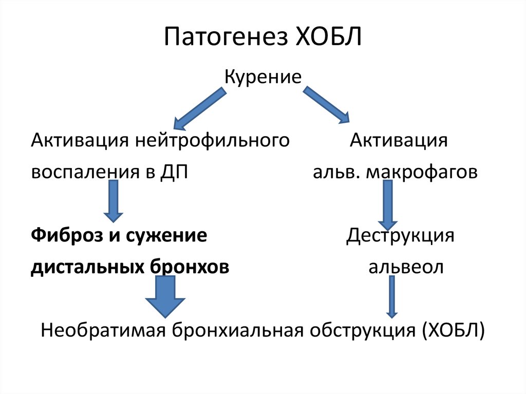 Презентация хобл патфиз