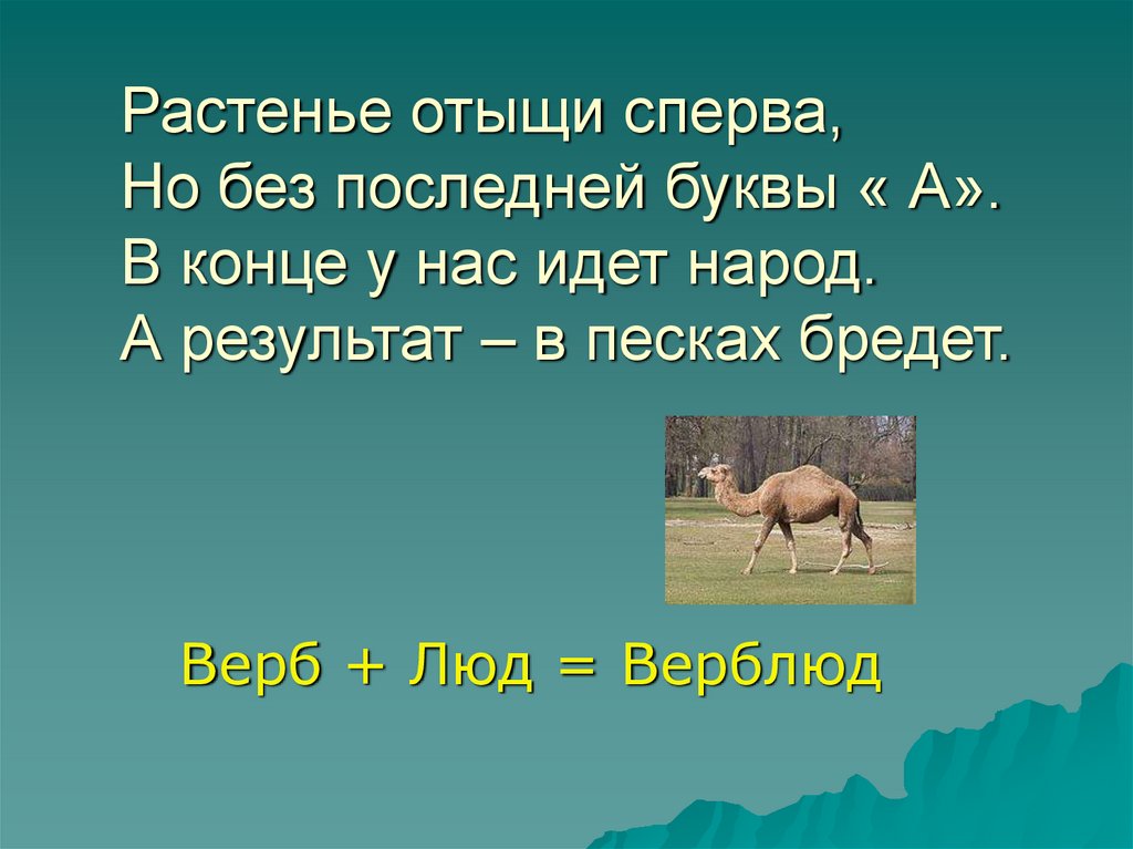 Пять букв последняя а есть и. Люда верблюда. Концовка для презентации с овцой. Похожее клеветание имен например Люда от верблюда.