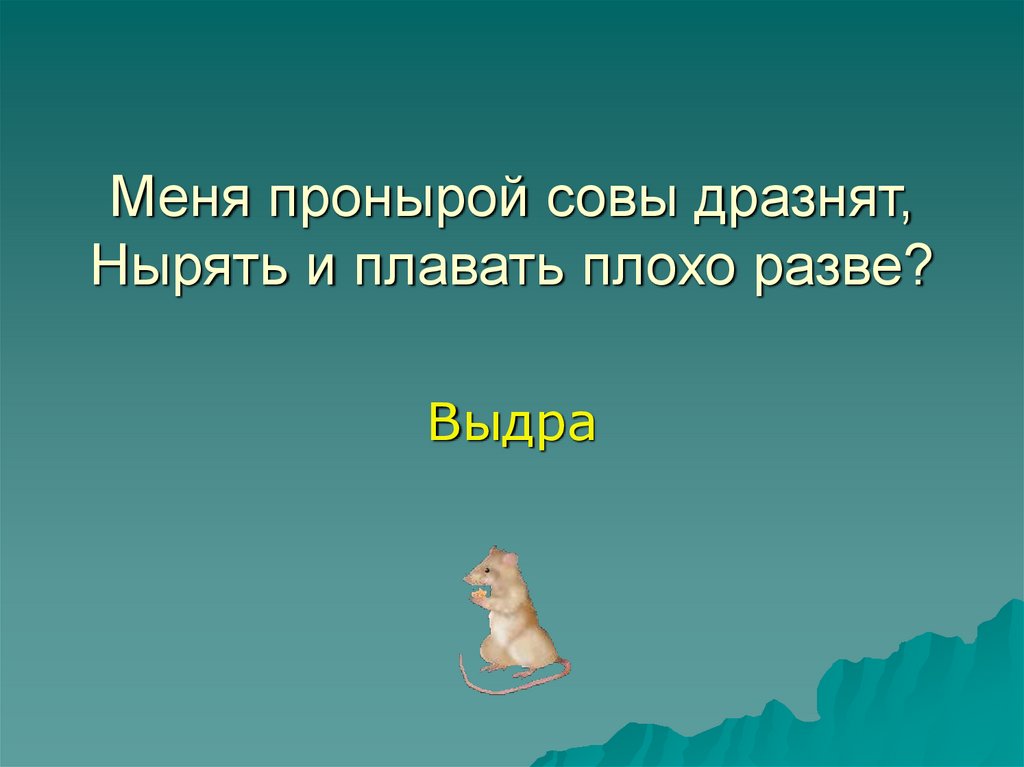 Разве ответ. Меня пронырой Совы дразнят нырять. Меня пронырой Совы дразнят нырять и плавать плохо разве. Меня пронырой Совы. Меня проныра слова дразнят нырять и плавать плохо разве.