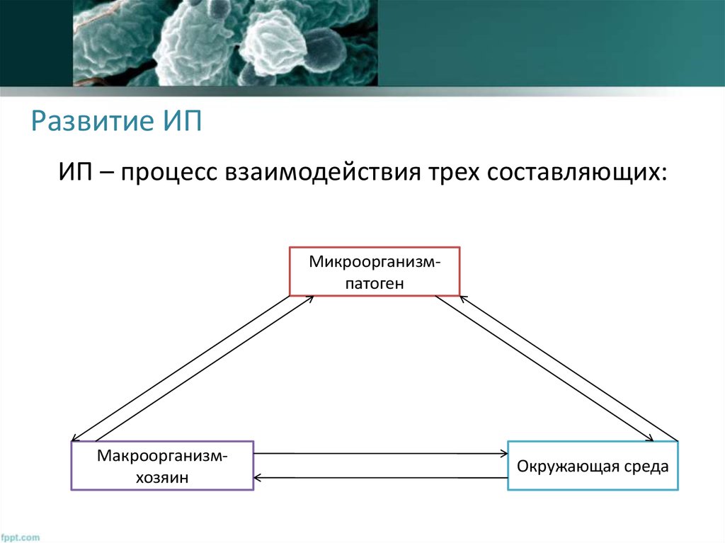 Микроорганизм и инфекционный процесс. Формы взаимодействия микроорганизмов. Формы взаимоотношений бактерий. Виды взаимодействия микроорганизмов. Формы взаимоотношения между микробами.