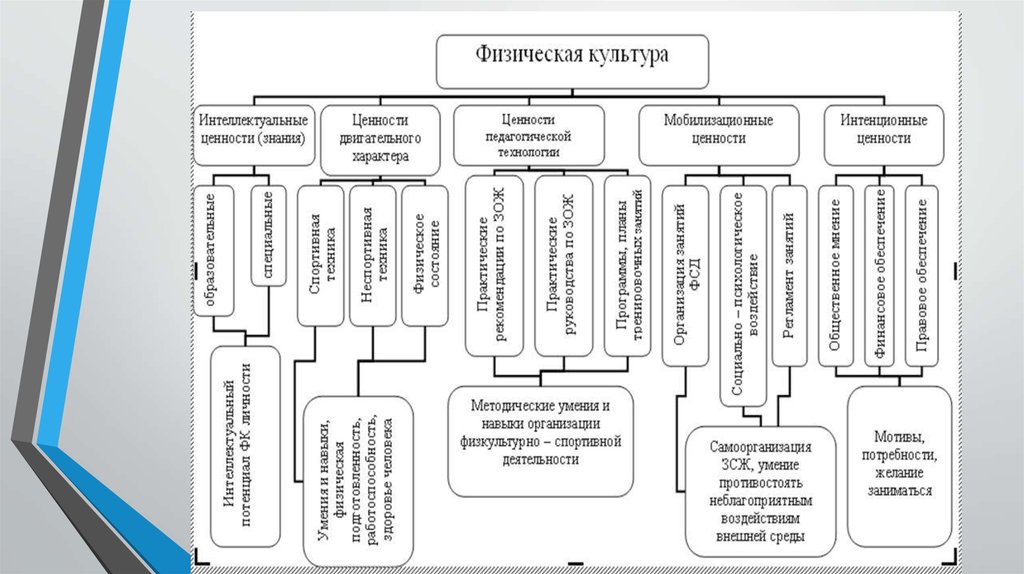 Схема деления учебных групп по физической культуре