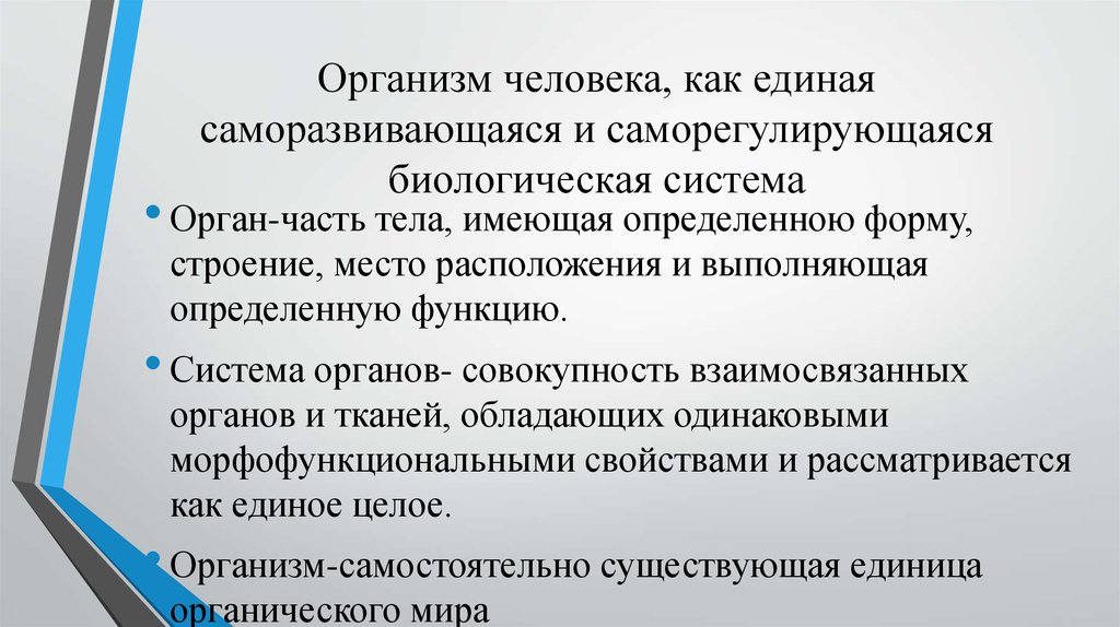 Организм как единая саморазвивающаяся и саморегулирующаяся система. Организм человека как саморегулирующаяся система. Организм человека как Единая саморазвивающаяся система.