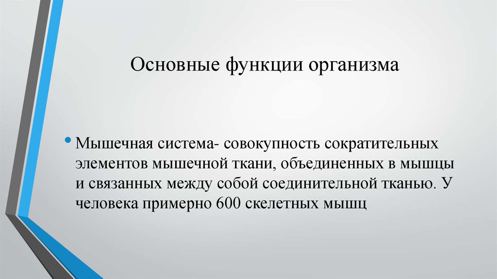 Движение обучающихся. Обучение в движении. Системное движение.