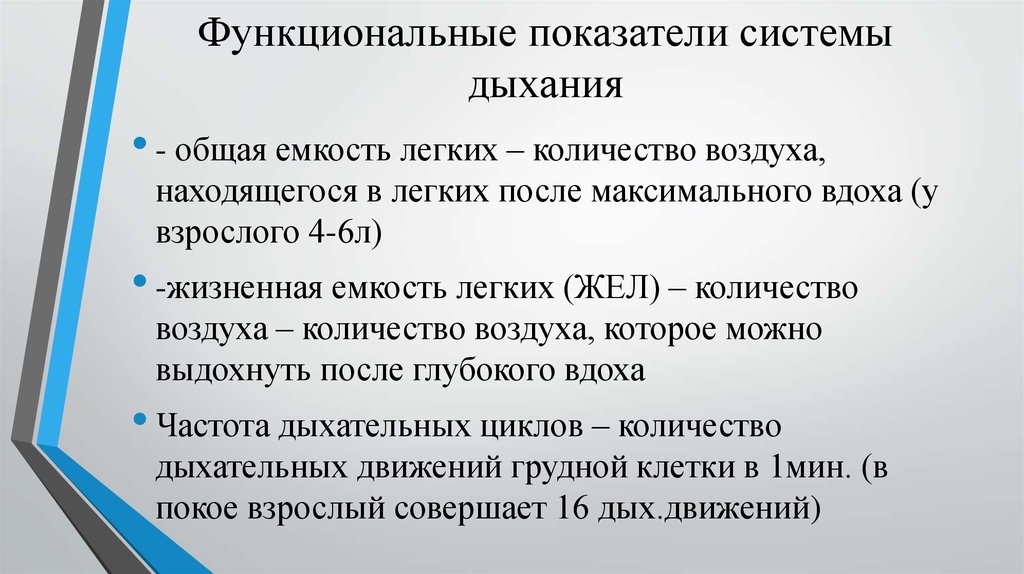 Показатели дыхания. Функциональные показатели дыхательной системы.