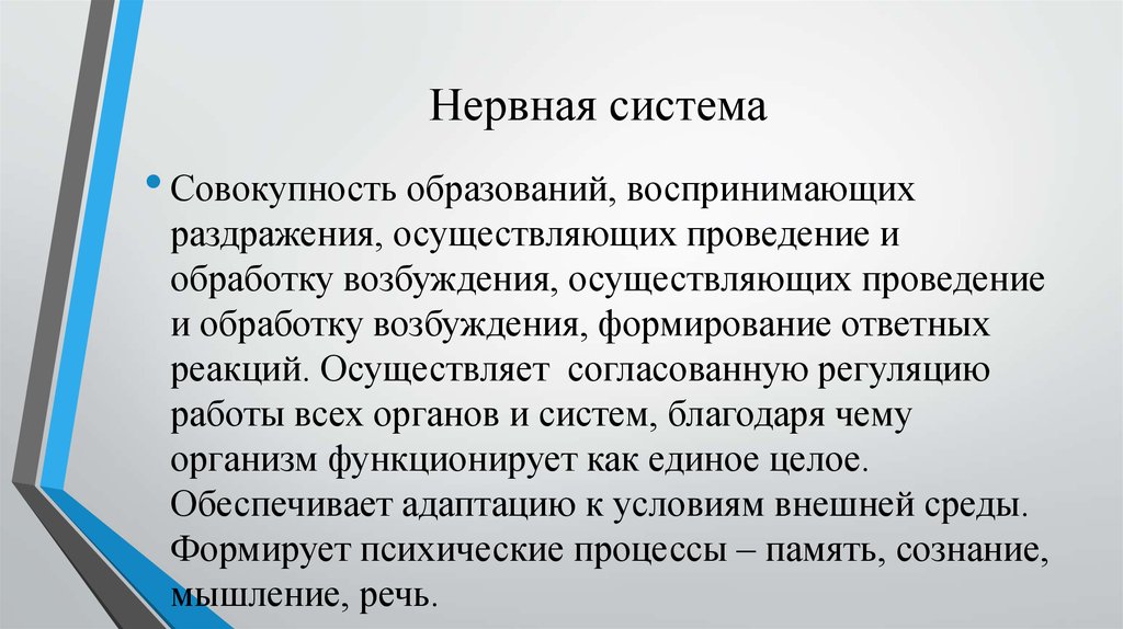 Совокупность образований. Систему нервных образований воспринимающих раздражения проводящих. Проведения и обработки возбуждений. 29. Образование, воспринимающее раздражение.