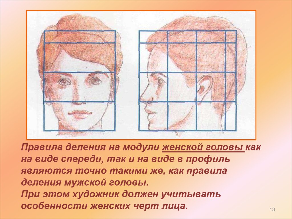 Длина лба. Пропорции лица для рисования. Пропорции лица человека при рисовании портрета схема. Пропорции головы. Править голову бабушкиным методом.