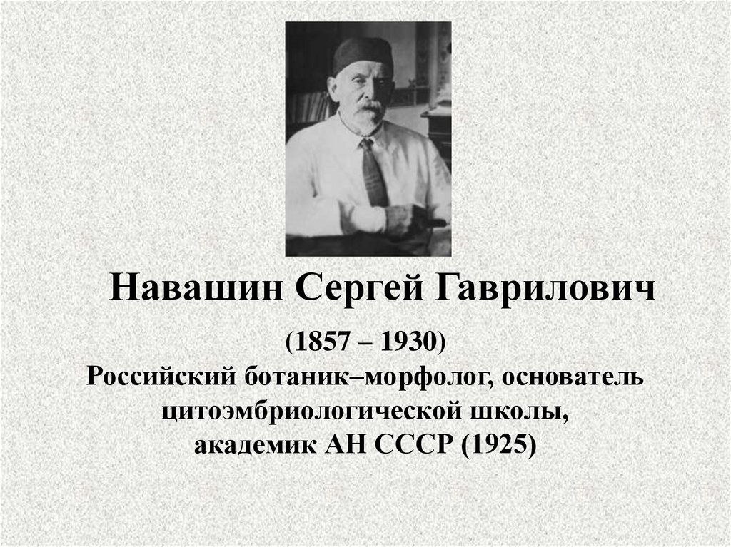 С г навашина фото. Жизнь и деятельность российского ученого ботаника с г Навашина.