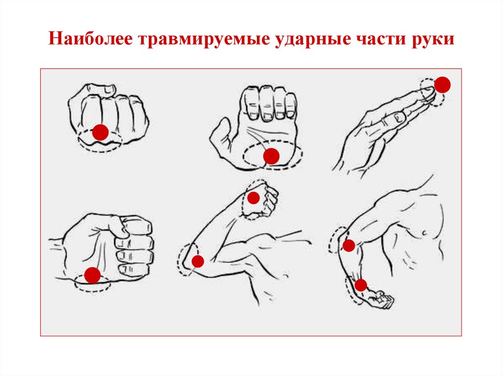 Части кулака руки