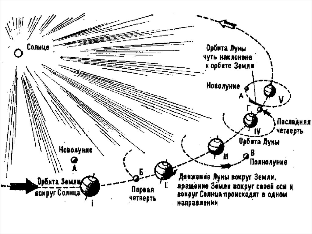 Схема полнолуния. Схема движения земли и Луны вокруг солнца. Схема движения Луны вокруг земли и земли вокруг солнца. Луна земля солнце схема движения. Схема движения Луны относительно солнца.