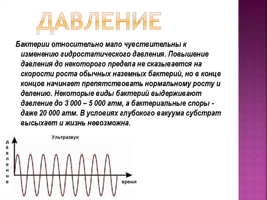 Относительно мало. Влияние давления на микроорганизмы. Гидростатическое давление микроорганизмов. Давление бактерий. Действие гидростатического давления на микробов.