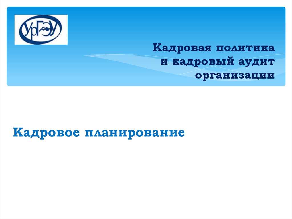 Кадровый аудит организации презентация