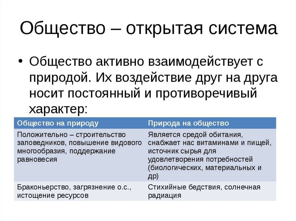 Общество как открытая система план