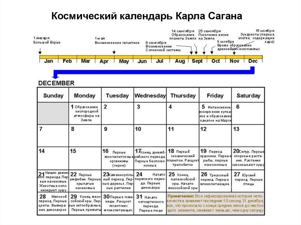 Период 20. Космический календарь. Календарь Сагана. Космический календарь Карла Сагана на русском языке. Расписание с Карлом.