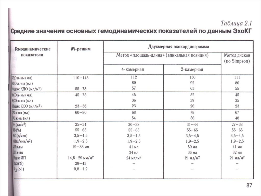 Учебный план эхокардиография