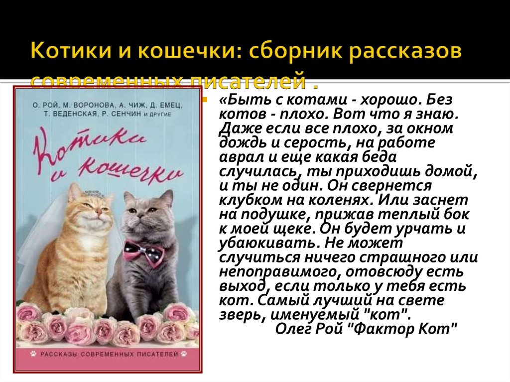История про котов и кошек