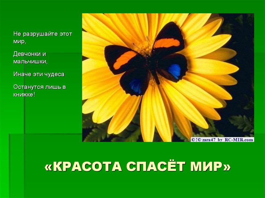 Красота спасет мир полная цитата. Красота спасет мир. Картинки на тему красота спасет мир. Презентация на тему красота спасет мир. Надпись красота спасет мир.