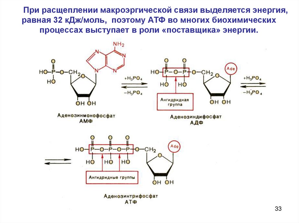 При разрыве связи выделяется энергия. ГТФ макроэргическая связь. Макроэргические соединения строение. Строение АТФ макроэргические связи. Макроэргические связи в АДФ.