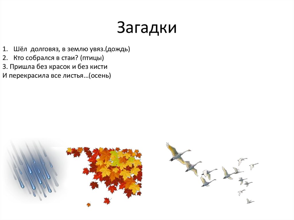 Загадка стая. Загадки про дождь. Загадка долговяз в землю. Загадки про дождь короткие. Загадки про ливень.