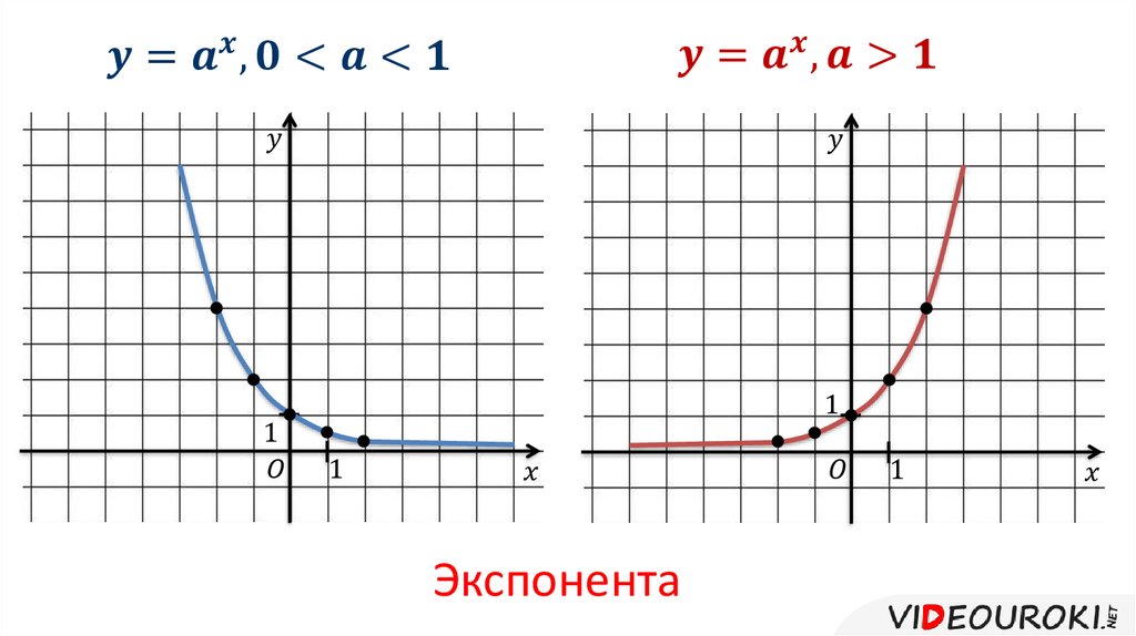 Экспонента что это. Экспонента. Экспонента график. Экспонента функция. Графики с экспонентой.