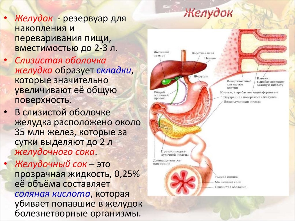 Нарушение переваривания пищи