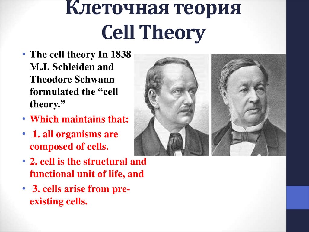 Клеточная теория Cell Theory
