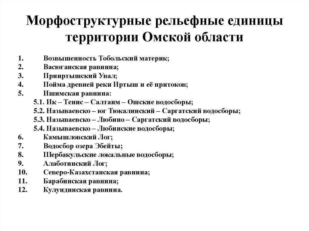 Морфоструктурные рельефные единицы территории Омской области
