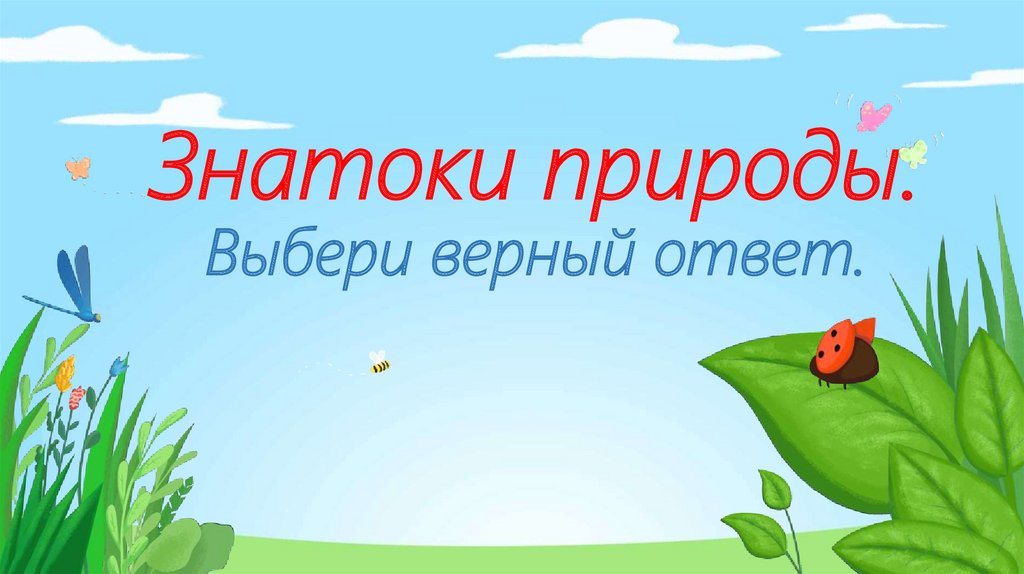 Ответить окружающее. Знатоки природы. Викторина знатоки природы. Викторина о природе презентация. Викторина для детей знатоки природы.