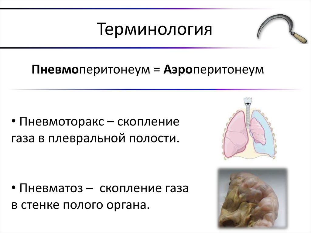 Терминология