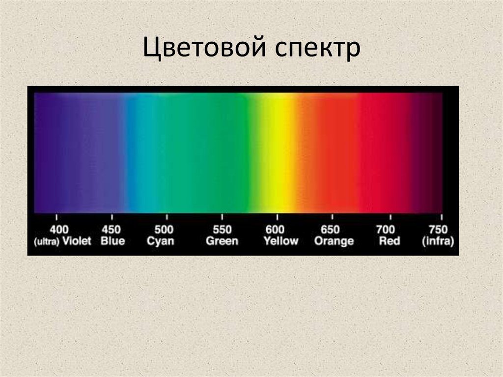 Спектр всех цветов какой цвет. Спектр. Цвета спектра. Цветовой спектр. Спектральных цветов.